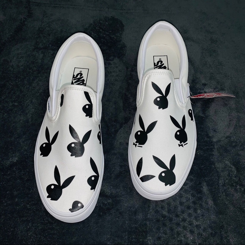 Custom bunny vans